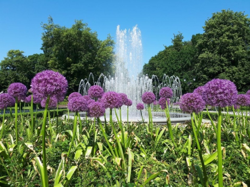 Ekskursija "Seserys Jogailaitės: taip nori likimas" - miniatiūra 9