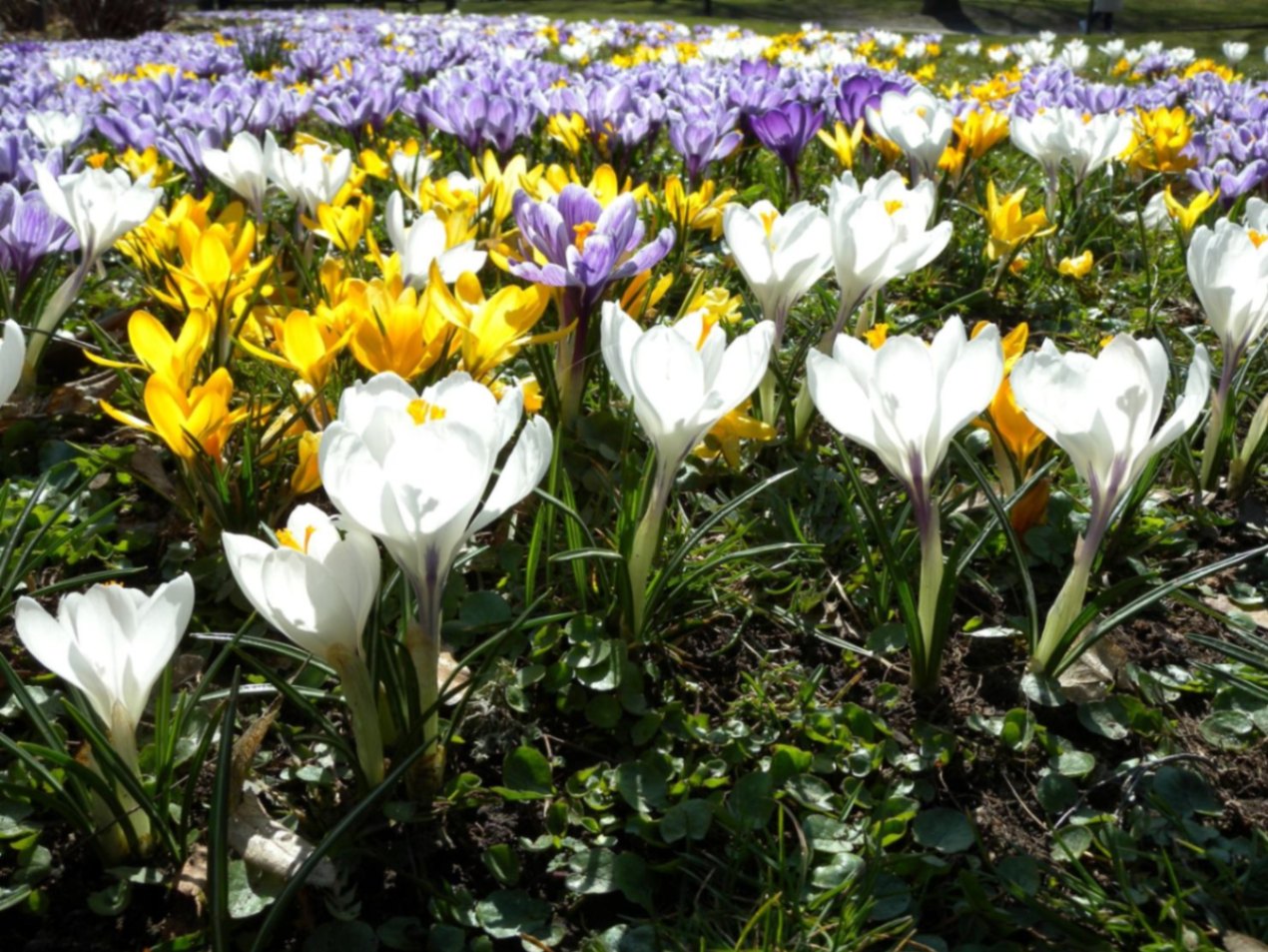 Ekskursija gali būti  papildoma vyno degustacija ar istorine vakariene.  – nuotrauka 7