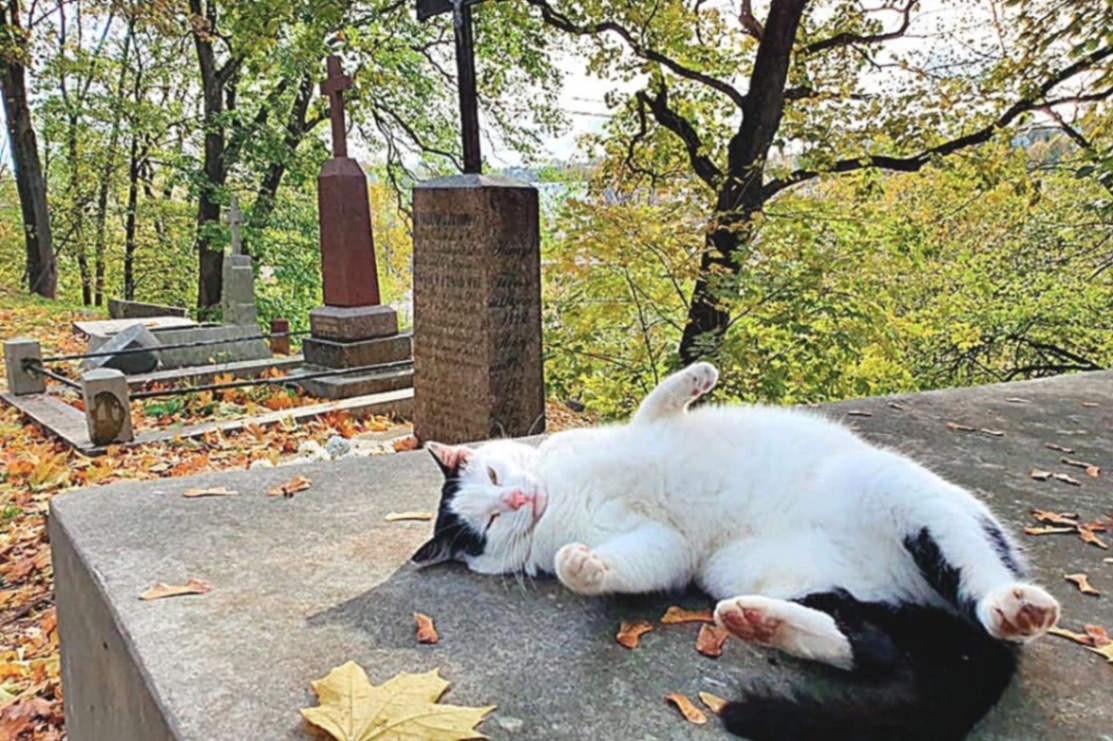 Vėlinių ekskursija "Po Bernardinų kapines: miestas už miesto ant kalvos" - miniatiūra 7