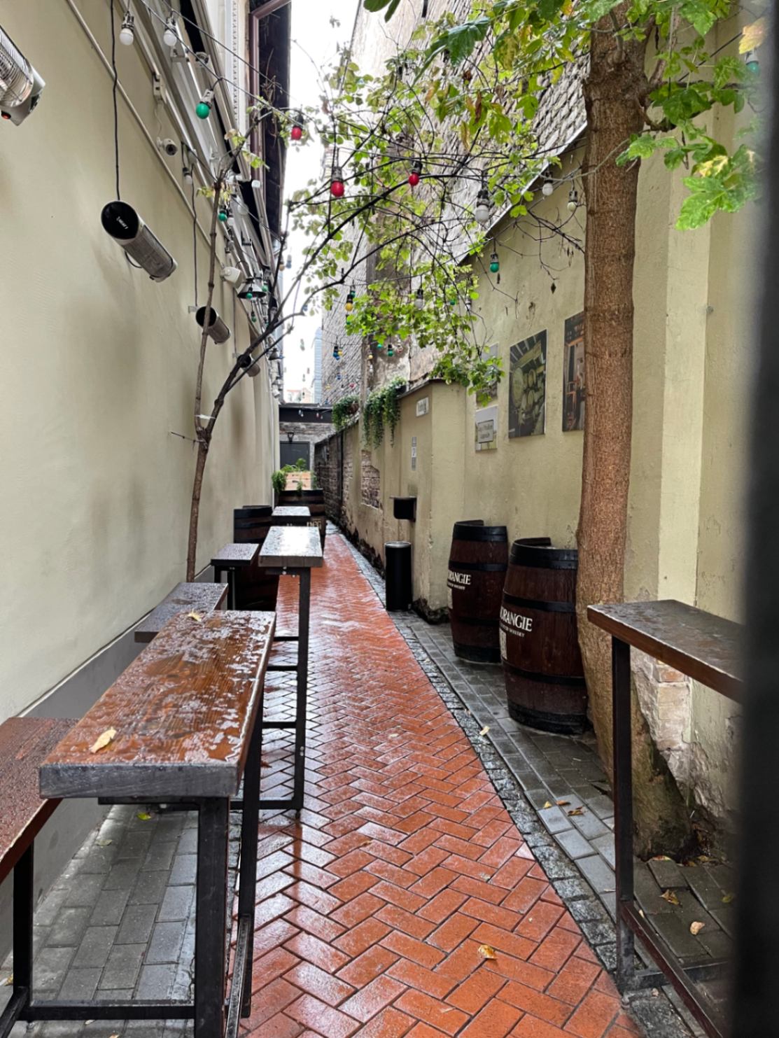 Ekskursija "Miesto užkulisiai: maršrutas iš kiemų pusės" – nuotrauka 6