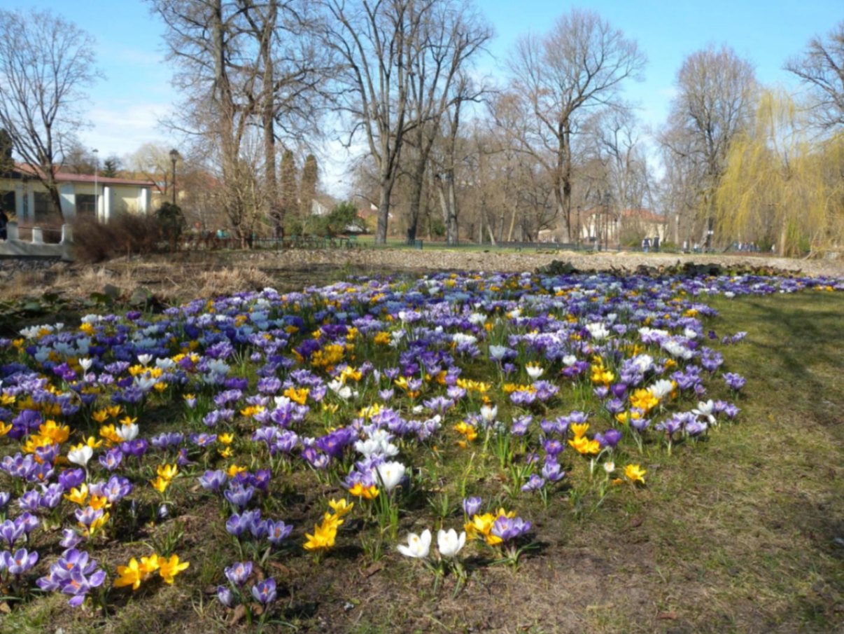 Ekskursija gali būti  papildoma vyno degustacija ar istorine vakariene.  – nuotrauka 6