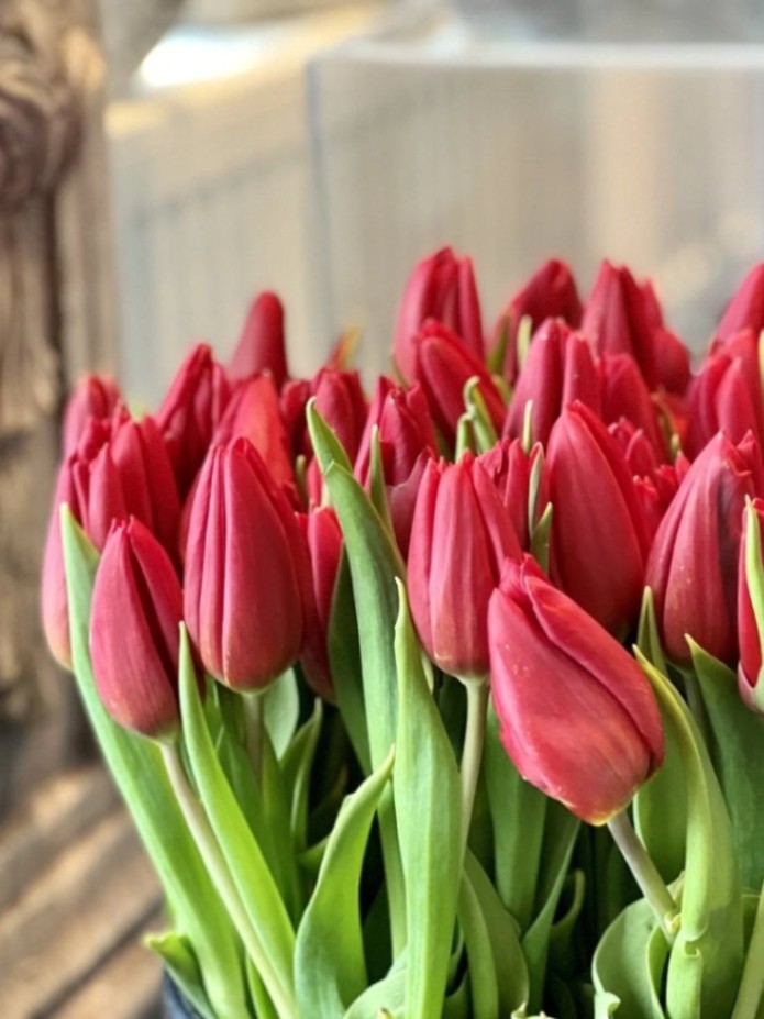 Kovo 8-osios ekskursija moterims – nuotrauka 5